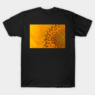 Sunny Sunflower Close Up T-Shirt